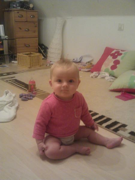 Bild zu