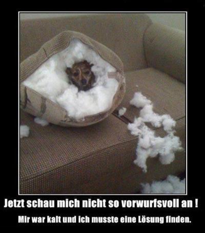 Bild zu mir ist heute irgendwie sooo kalt - Baby Forum - Allgemeine Themen