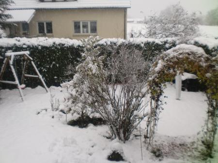 Bild zu 