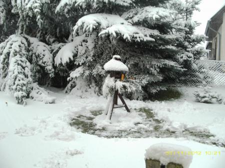Bild zu 