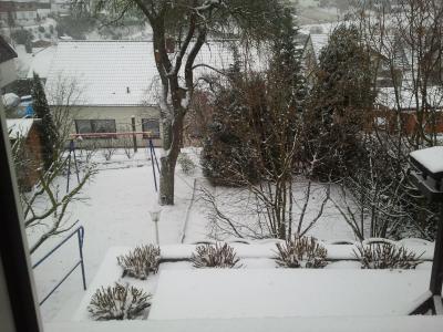 Bild zu Und somit kam er auch bei uns an - Baby Forum - Allgemeine Themen