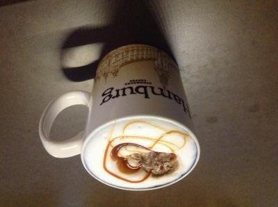 Bild zu Mutti, guck mal hieeeer... ;0) - Baby Forum - Allgemeine Themen