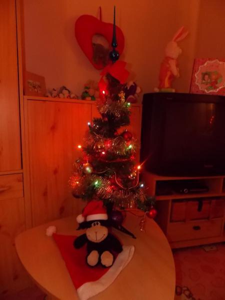 Bild zu 