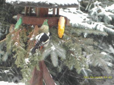 Bild zu na wen haben wir denn hier - Baby Forum - Allgemeine Themen