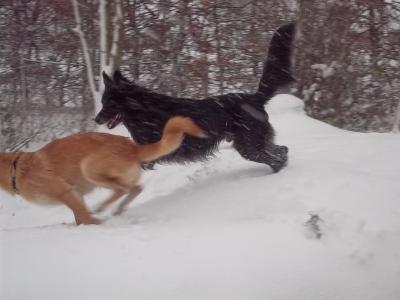 Bild zu Schneethread,grins - Baby Forum - Allgemeine Themen