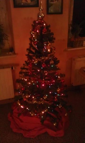 Bild zu