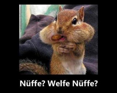 Bild zu Schaut mal wie geil *lach* - Baby Forum - Allgemeine Themen