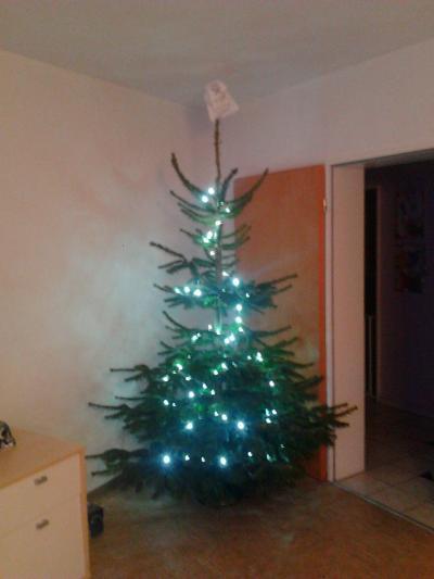 Bild zu mein vorweihnachtsbaum - Baby Forum - Allgemeine Themen