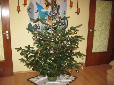 Bild zu Unser Baum . . . - Baby Forum - Allgemeine Themen