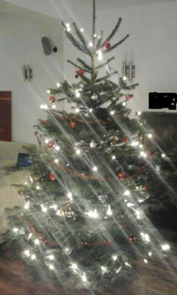 Bild zu 
