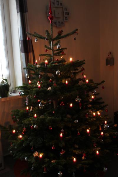 Bild zu Unser Baum - Baby Forum - Allgemeine Themen