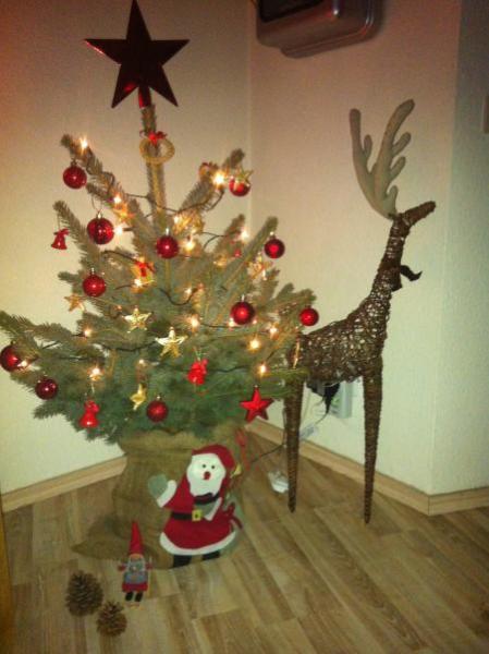 Bild zu 