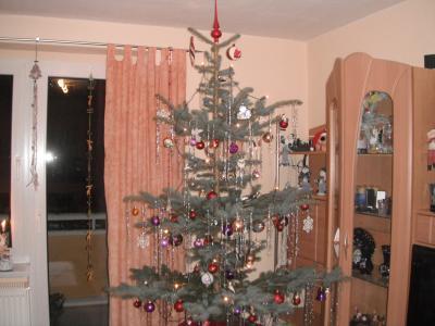 Bild zu Unser Baum! - Baby Forum - Allgemeine Themen