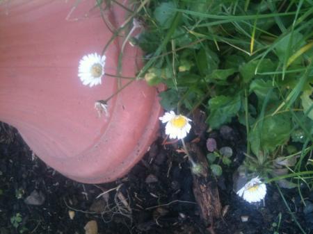 Bild zu 