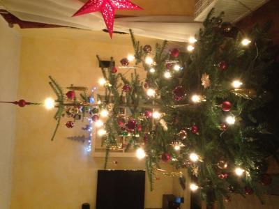 Bild zu Mein Tannenbaum - Baby Forum - Allgemeine Themen