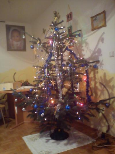 Bild zu Nun ist auch unser baum fertig ;-) - Baby Forum - Allgemeine Themen