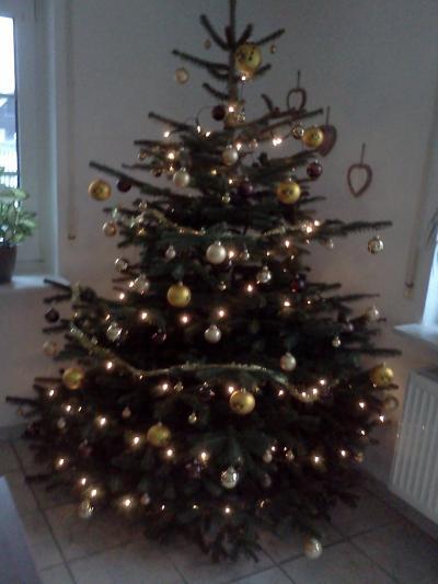 Bild zu Unser Bäumchen Erste Weihnachten zu dritt - Baby Forum - Allgemeine Themen