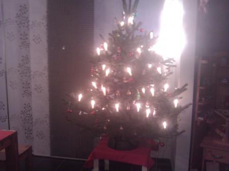 Bild zu