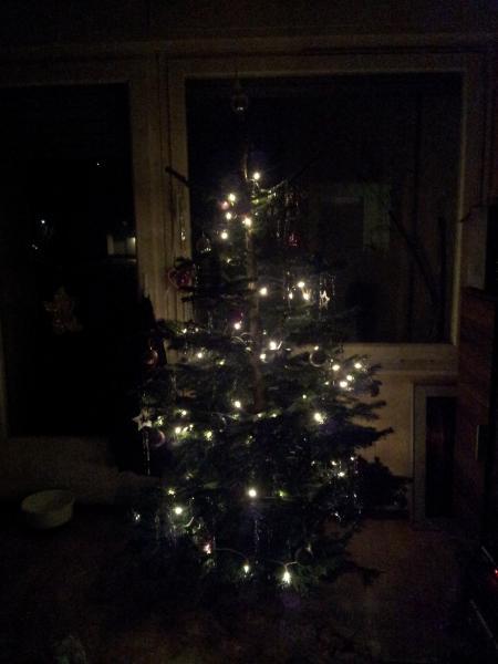 Bild zu