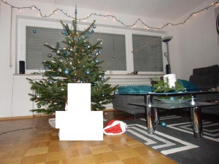 Bild zu 