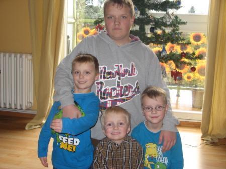 Bild zu