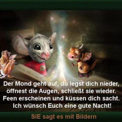 Bild zu 