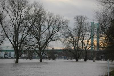 Bild zu @ PK Köln - Baby Forum - Allgemeine Themen