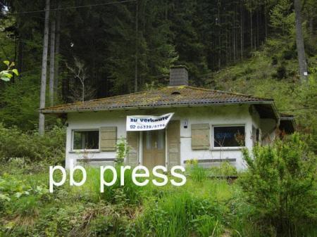 Bild zu 