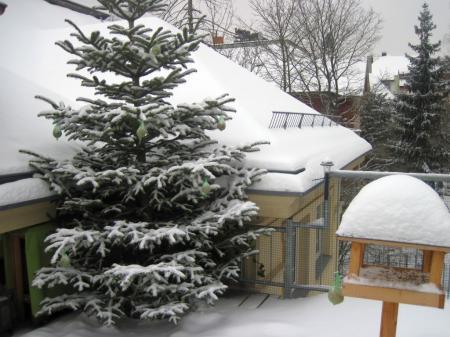 Bild zu 