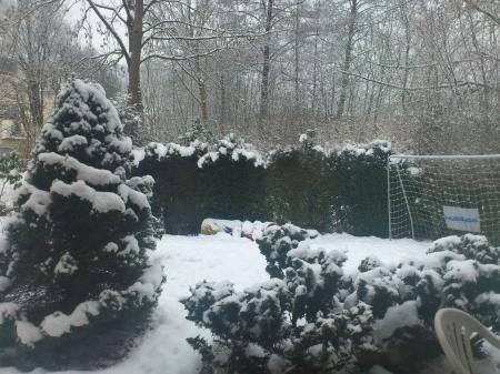 Bild zu 