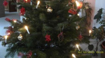 Bild zu 
