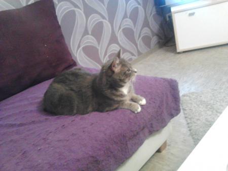 Bild zu 