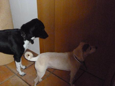Bild zu