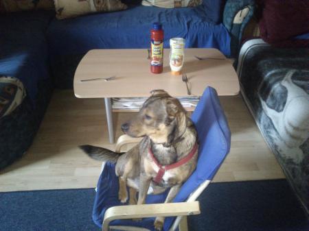Bild zu