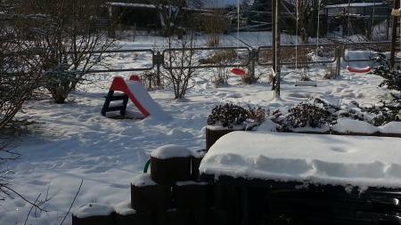 Bild zu