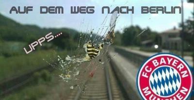 Bild zu PK und andere - Baby Forum - Allgemeine Themen