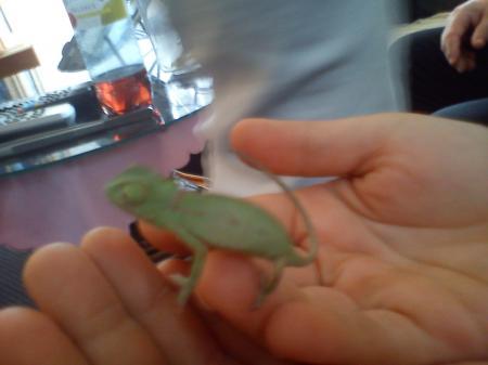 Bild zu 