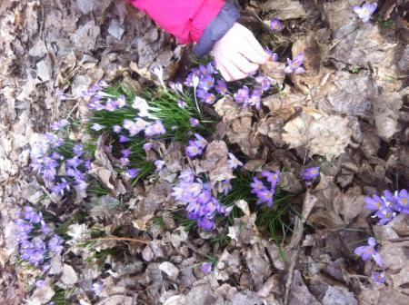 Bild zu