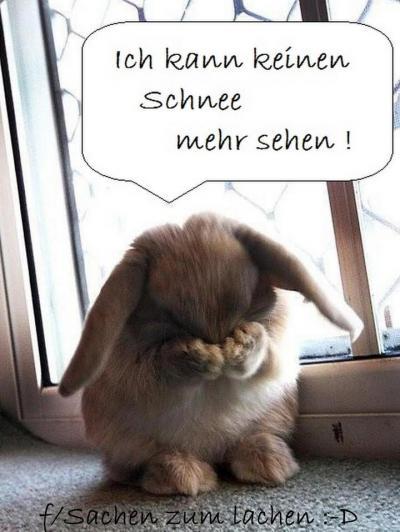 Bild zu Bild - Baby Forum - Allgemeine Themen