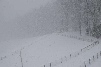 Bild zu juchuu es schneit wieder ;-) - Baby Forum - Allgemeine Themen