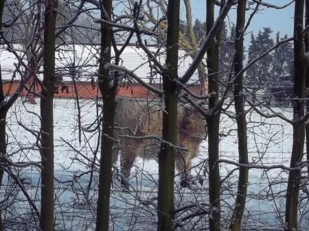 Bild zu 