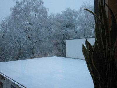Bild zu HEUTE IST FRÜHLINGSANFANG: Es schneit, schneit und schneit . . . Bild dazu: - Baby Forum - Allgemeine Themen