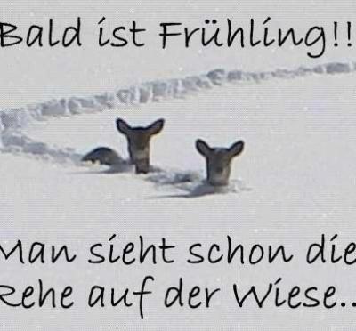 Bild zu *lach* - Baby Forum - Allgemeine Themen