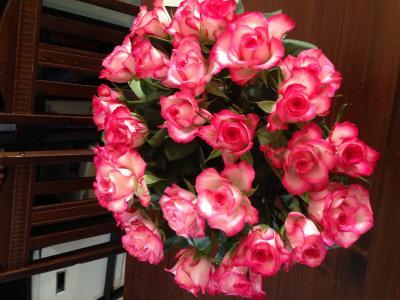 Bild zu Kauft ihr euch regelmäßig selber Blumen ? - Baby Forum - Allgemeine Themen