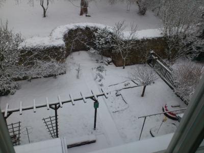 Bild zu juhu. endlich winter!? mein Garten war grad zur Hälfte grün - Baby Forum - Allgemeine Themen