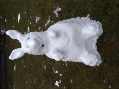 Bild zu Und unser schneehase - Baby Forum - Allgemeine Themen
