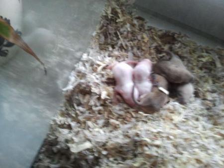 Bild zu