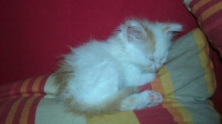 Bild zu