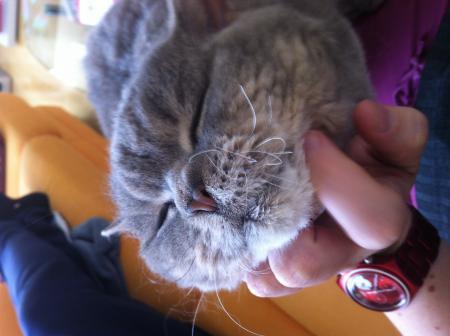 Bild zu