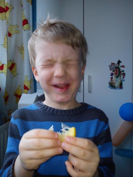 Bild zu
